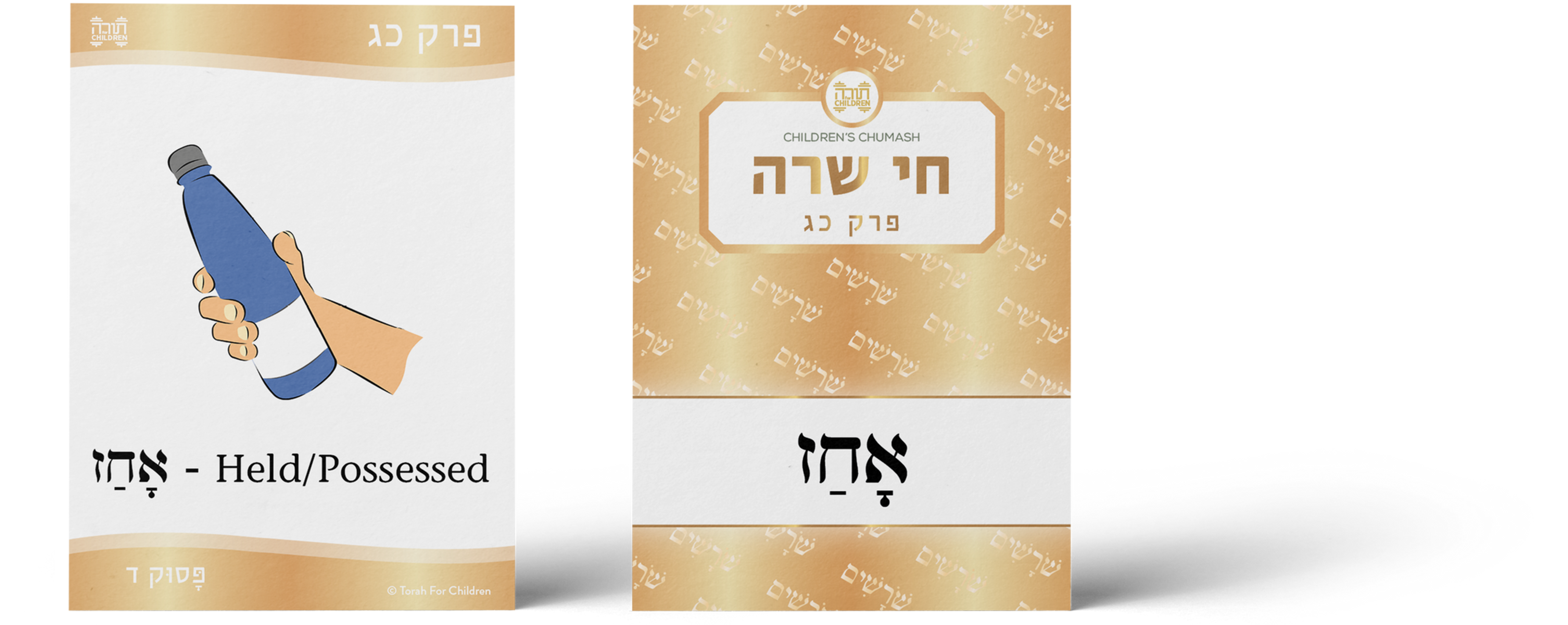 Children's Chumash Chayei Sarah Flashcards (177 Cards)